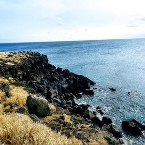 Meet your Posher, Payman